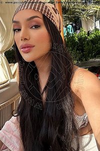 Foto selfie trans escort Marlene Gorizia 3384065712