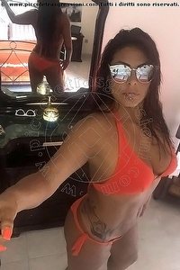 Foto selfie escort Adel Ancona 3713262718
