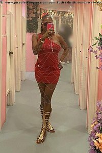 Foto selfie trans escort Andrea Ibiza 0034603869432