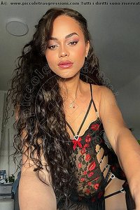 Foto selfie trans escort Victoria New Bologna 3394337857