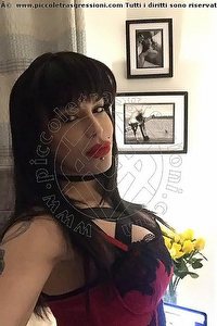 Foto selfie trans escort Diana Marini Trento 3280291220