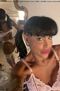 Foto selfie trans escort Diana Marini Napoli 3280291220