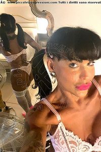 Foto selfie trans escort Diana Marini Verona 3280291220