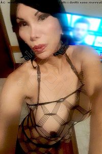 Foto selfie trans escort Sheyla Gold Firenze 3292866951