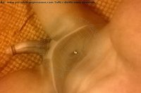 Foto selfie hot trans Alves Garbagnate Milanese 3714936409