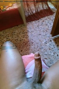 Foto selfie hot trans Alves Garbagnate Milanese 3714936409