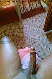 Foto selfie hot trans Alves Garbagnate Milanese 3714936409