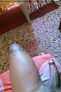 Foto selfie hot trans Alves Garbagnate Milanese 3714936409