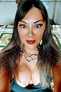 Foto selfie trans escort Vanessa Faenza 3475451376