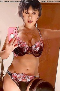 Foto selfie trans escort Vanessa Faenza 3475451376