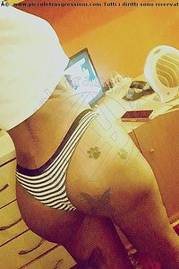 Foto selfie trans escort Alves Garbagnate Milanese 3714936409