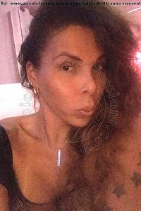 Foto selfie trans escort Sheila Lamborghini Milano 3440149006
