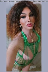 Foto selfie trans escort Rosa Xxxl Roma 3338976927