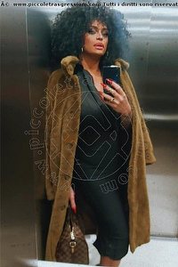 Foto selfie trans escort Serena Torino 3271309016