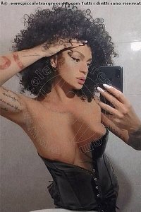 Foto selfie trans escort Serena Torino 3271309016