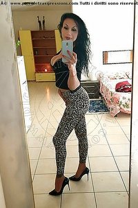 Foto selfie trans escort Adriana Paulett Paese 3891399263