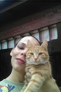 Foto selfie trans Giuliana Fragolina Padova 3290821228