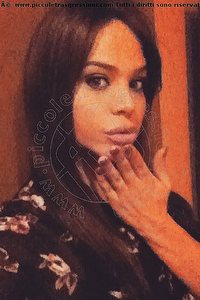 Foto selfie trans escort Nicole Dallevacche Mogliano Veneto 3248239894