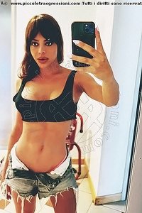 Foto selfie trans escort Nicole Dallevacche Treviso 3248239894
