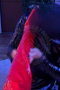 Foto selfie mistress trans Lady Valeria Treviso 3388718849