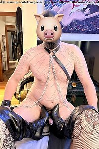 Foto selfie hot mistress trans Lady Valeria Treviso 3388718849