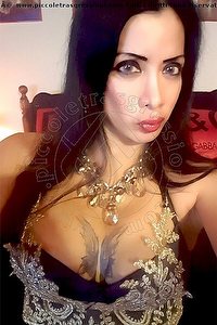 Foto selfie trans escort Safira Vicenza 3881068404