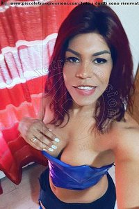 Foto selfie trans Queenn Cosenza 3383363338