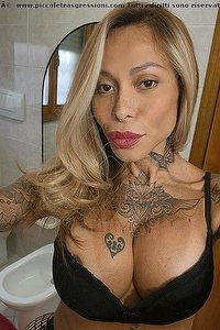 Foto selfie trans escort Alessandra Toledo Pornostar Imola 3396743933