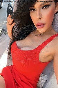 Foto selfie trans escort Gabriella Gandini Reggio Emilia 3714818868