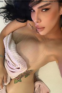 Foto selfie trans escort Gabriella Gandini Reggio Emilia 3714818868