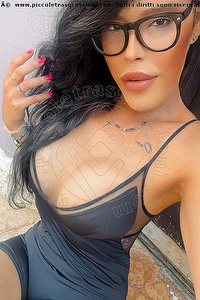 Foto selfie trans escort Gabriella Gandini Desenzano Del Garda 3714818868