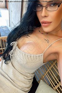 Foto selfie trans escort Gabriella Gandini Desenzano Del Garda 3714818868