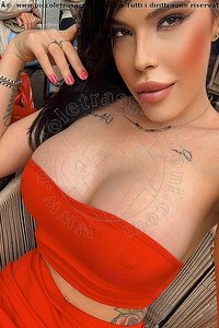 Foto selfie trans escort Gabriella Gandini Desenzano Del Garda 3714818868