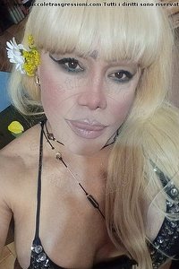 Foto selfie trans Nicole Vip Venturiny Bergamo 3533538868