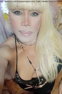 Foto selfie trans Nicole Vip Venturiny Bergamo 3533538868