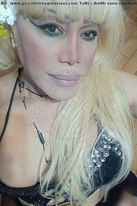 Foto selfie trans Nicole Vip Venturiny Milano 3533538868