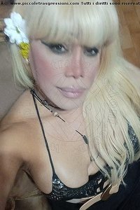 Foto selfie trans Nicole Vip Venturiny Milano 3533538868