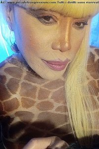 Foto selfie trans Nicole Vip Venturiny Milano 3533538868