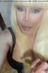 Foto selfie trans escort Nicole Vip Venturiny Bergamo 3533538868