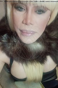 Foto selfie trans escort Nicole Vip Venturiny Bergamo 3533538868