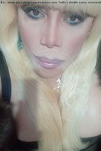 Foto selfie trans escort Nicole Vip Venturiny Bergamo 3533538868