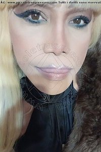 Foto selfie trans escort Nicole Vip Venturiny Bergamo 3533538868