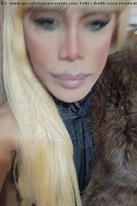 Foto selfie trans escort Nicole Vip Venturiny Bergamo 3533538868