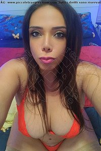 Foto selfie trans escort Dea Sexy Marina Di Montemarciano 3208830428