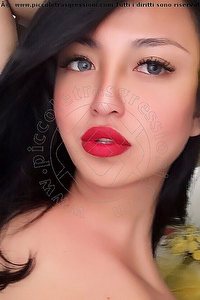 Foto selfie trans Katrina Asiatica Milano 3935020179