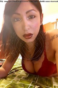 Foto selfie trans escort Desirre Alessandria 3922832689