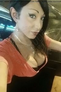 Foto selfie trans escort Desirre Alessandria 3922832689