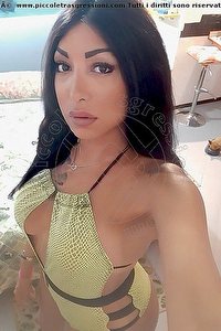 Foto selfie trans escort Desirre Alessandria 3922832689