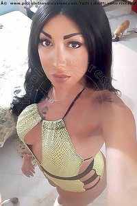 Foto selfie trans escort Desirre Alessandria 3922832689