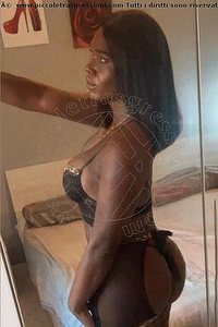 Foto selfie trans Paloma  Terzagamba Caserta 3209335366